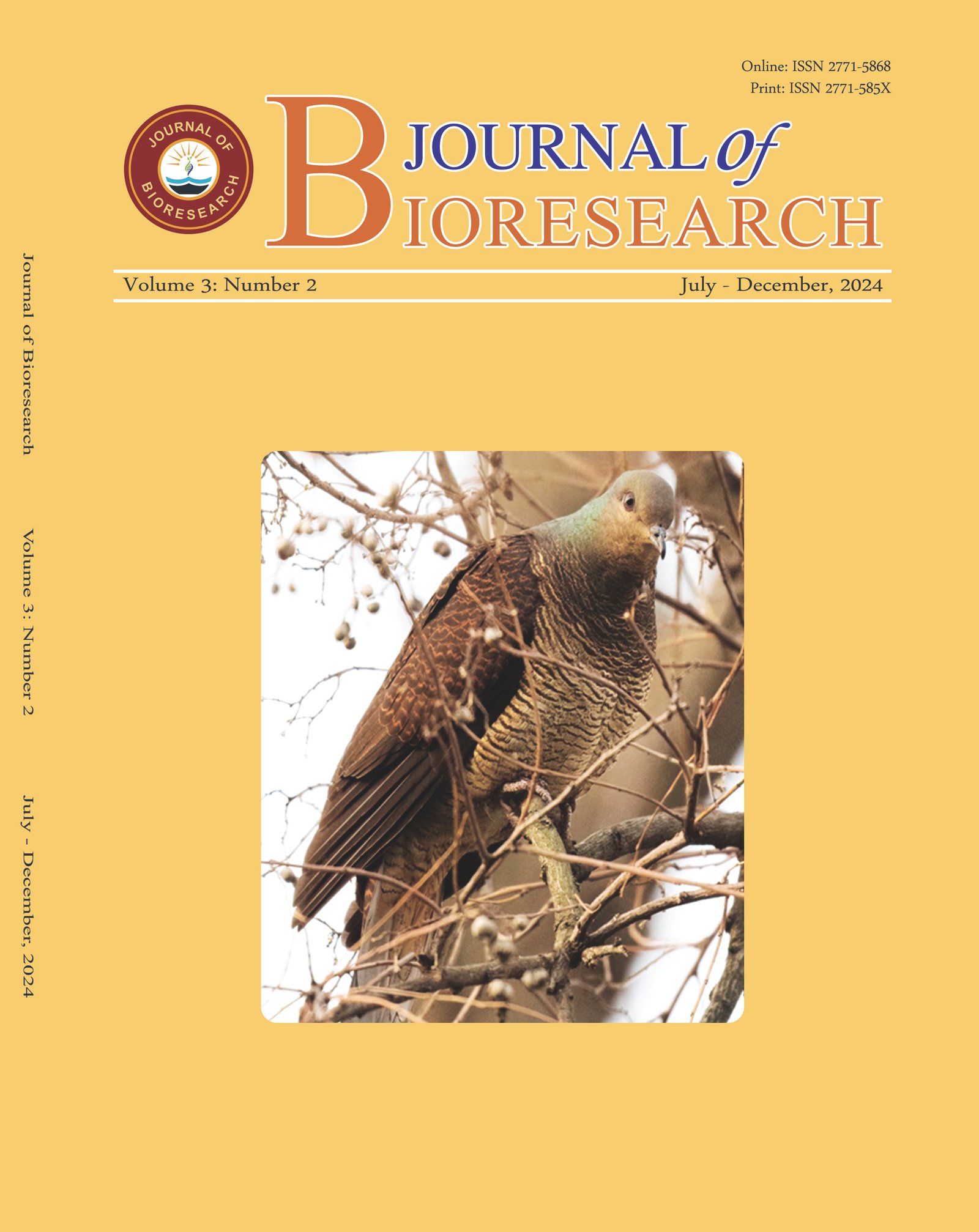 Previous Issue Cover